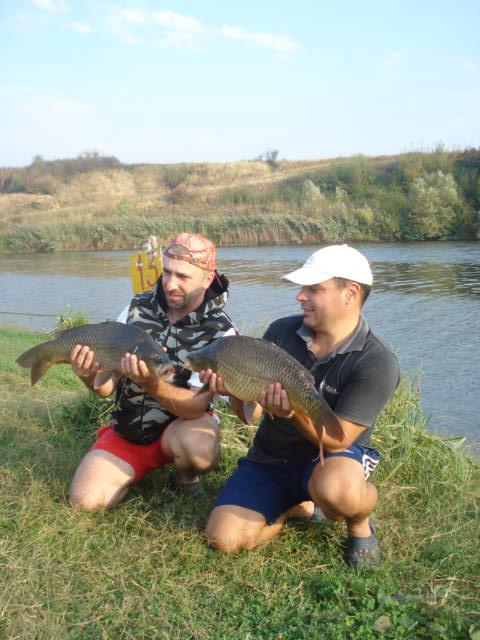 Stolnici - DSC04204.JPG